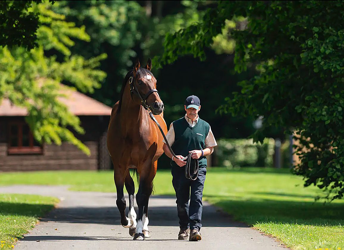 The King and Queen's Portcullis Dazzles, Named TDN Rising Star