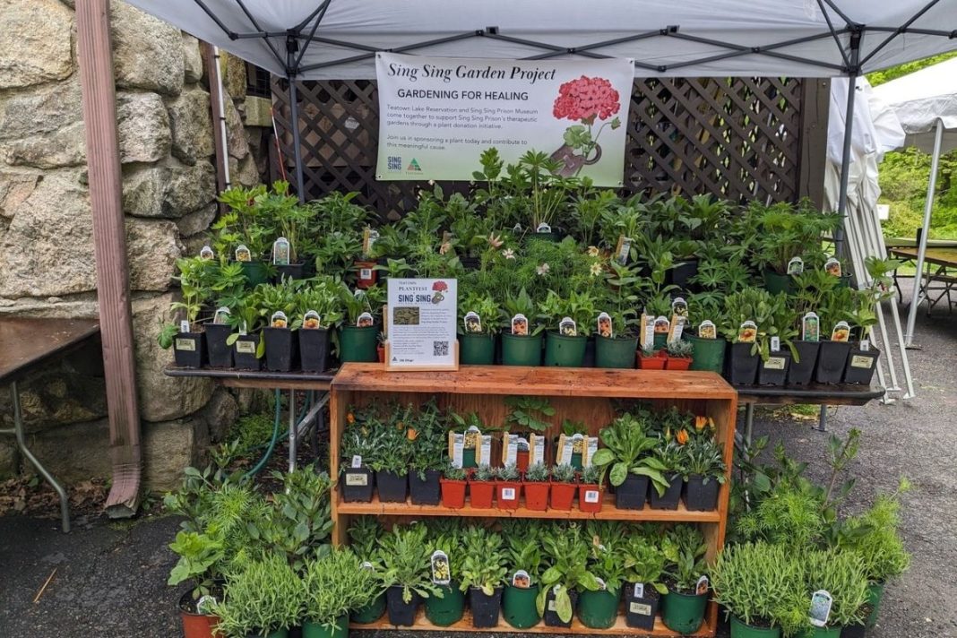 Sing Sing Prison Museum highlights gardening programs as part of broader rehabilitation efforts within correctional settings. (Sing Sing Prison Museum)