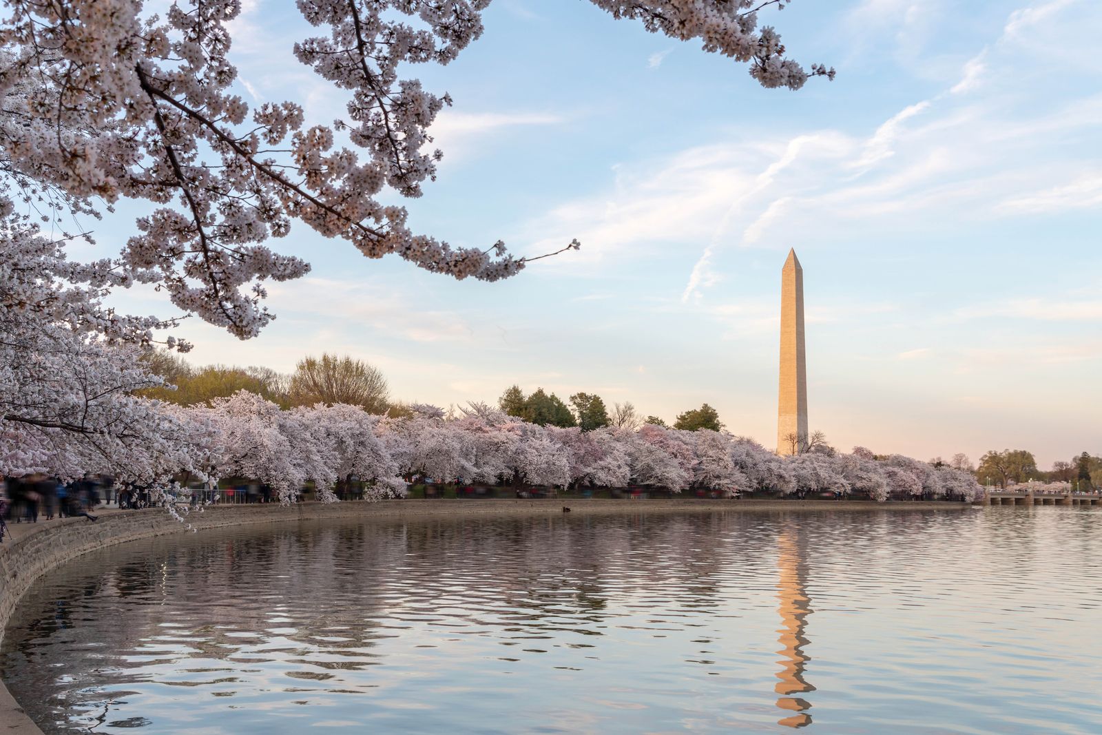 Image may contain Architecture Building Landmark Tower and Washington Monument