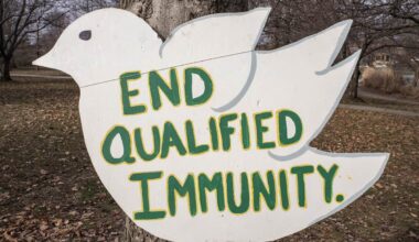 Civil Rights Advocates Demand an End to Qualified Immunity in New York