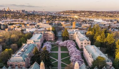 7 Places to See Cherry Blossoms in the US, From Seattle to Brooklyn