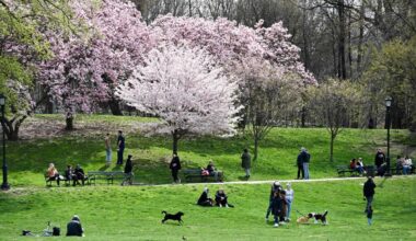 How to celebrate Earth Day across Brooklyn • Brooklyn Paper