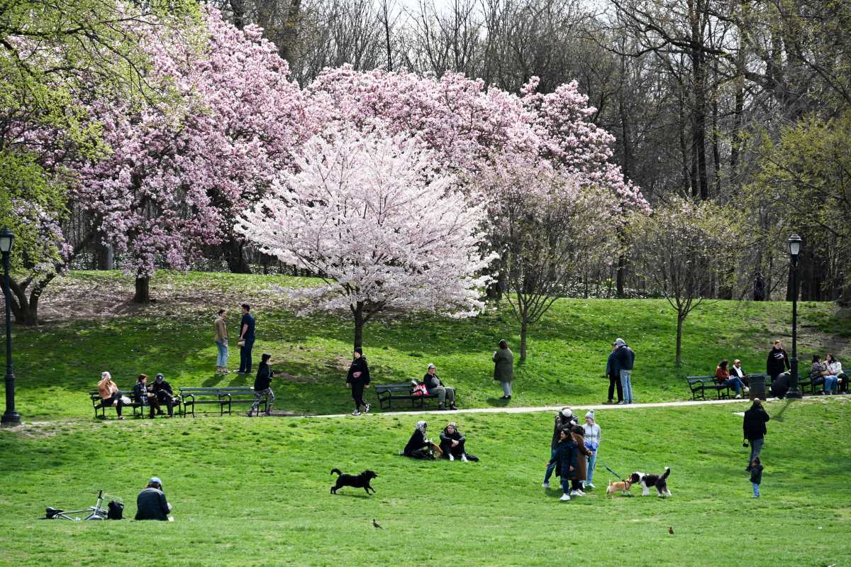 How to celebrate Earth Day across Brooklyn • Brooklyn Paper