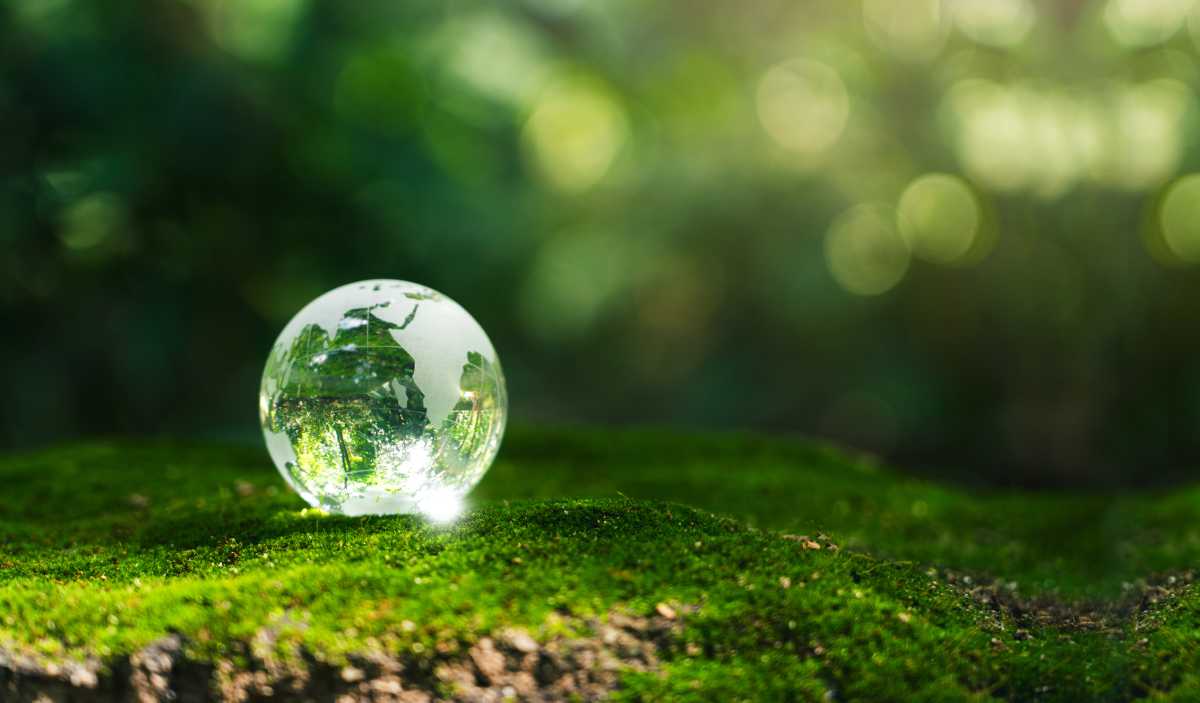 The fossil fuel illusion, and New York’s chance to move beyond it