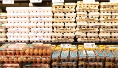 Mamdani sharing new details on NYC-owned grocery store plans – NBC New York