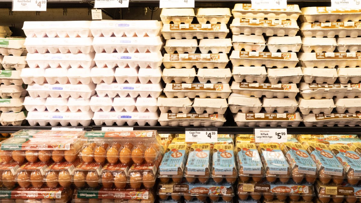 Mamdani sharing new details on NYC-owned grocery store plans – NBC New York