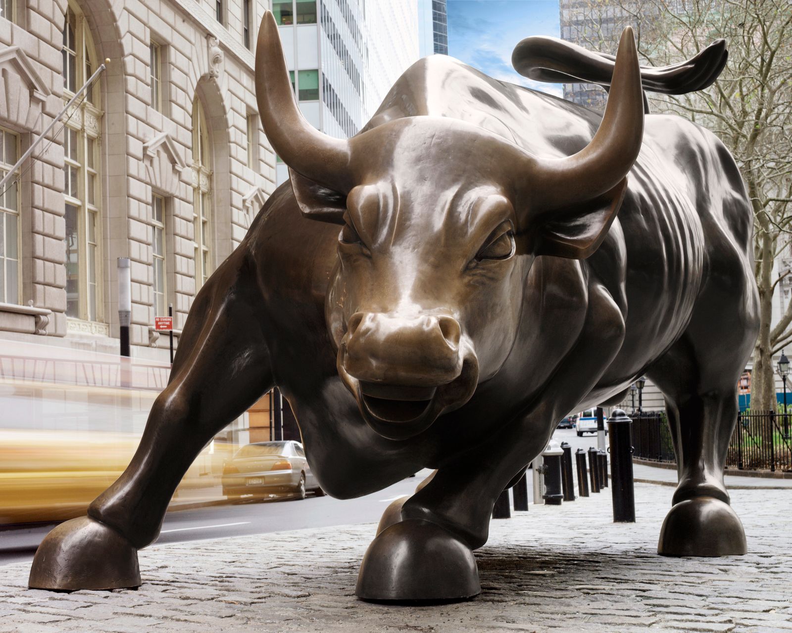 Image may contain Animal Bull Mammal Cattle Cow Livestock Car Transportation and Vehicle