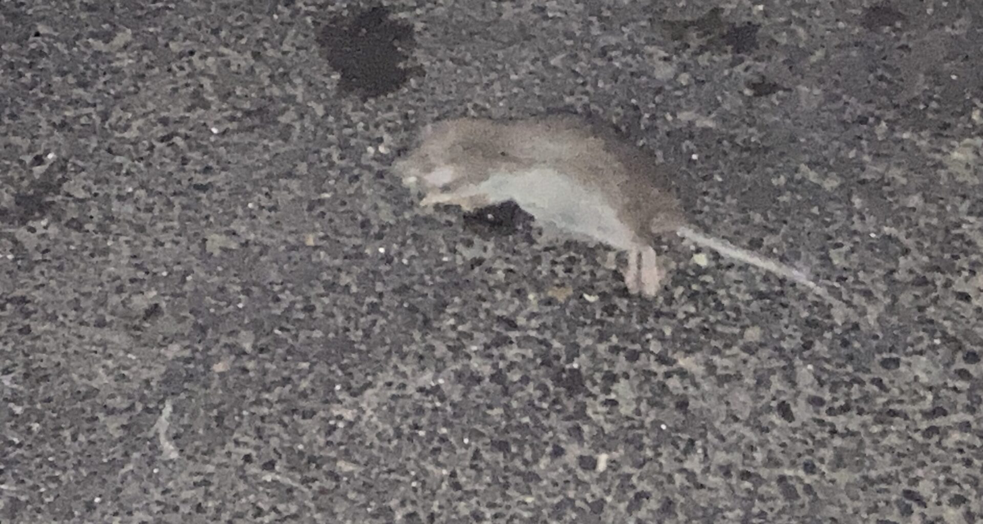 Attorney General Letitia James Takes Action to Halt Illegal Pesticide Sales in The Bronx