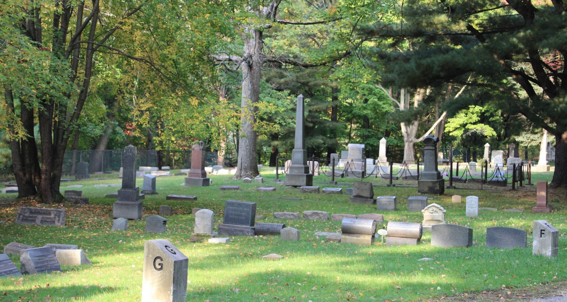 Sisters hope to return Old Brooklyn’s Brookmere Cemetery to former glory – The Land