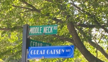 Focus on the Great Neck Peninsula: The Case for Gatsby