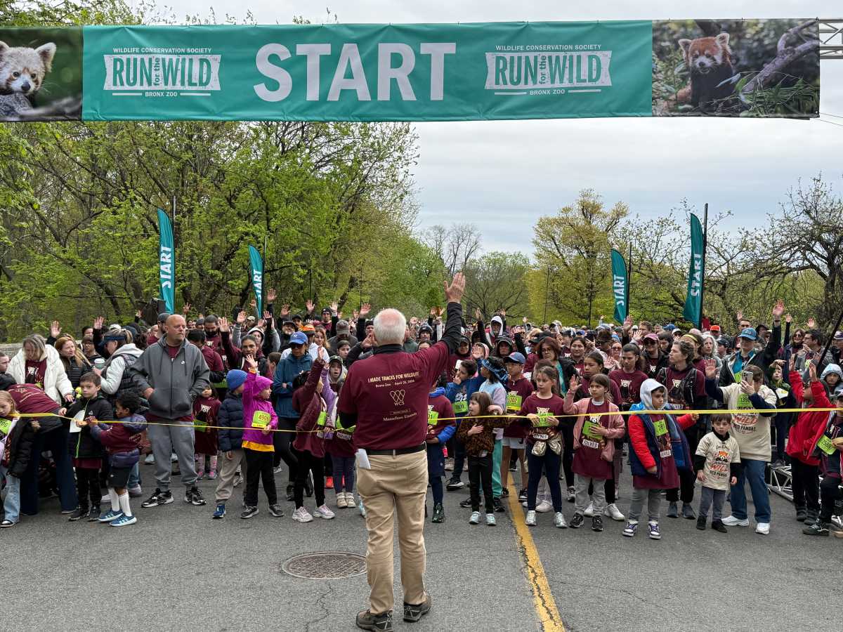 Thousands of Bronx residents and families lace up their shoes at the Bronx Zoo to run for Red Pandas – Bronx Times