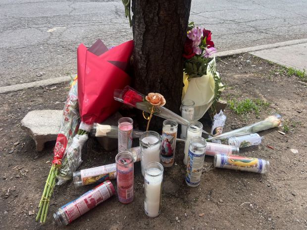 A memorial for Jenny Maribel Chacho Sánchez near the crash intersection at St. Nicholas Ave. and Gates Ave. in Ridgewood. (Emma Seiwell / New York Daily News)