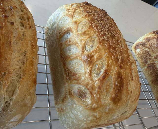 Salty Fox Bakery, a micro-bakery in a quaint shed on Fox Island, Wash. opens Saturday, April 4, 2026. The cottage bakery will specialize in sourdough baked goods and sell cookies, pies, bagels and more.