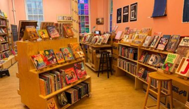 Hive Mind Books looks to save the last queer bookstore in Manhattan