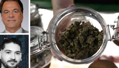 Stellar Dispensary to Open 6K-SF Cannabis Shop in Queens Village – Commercial Observer