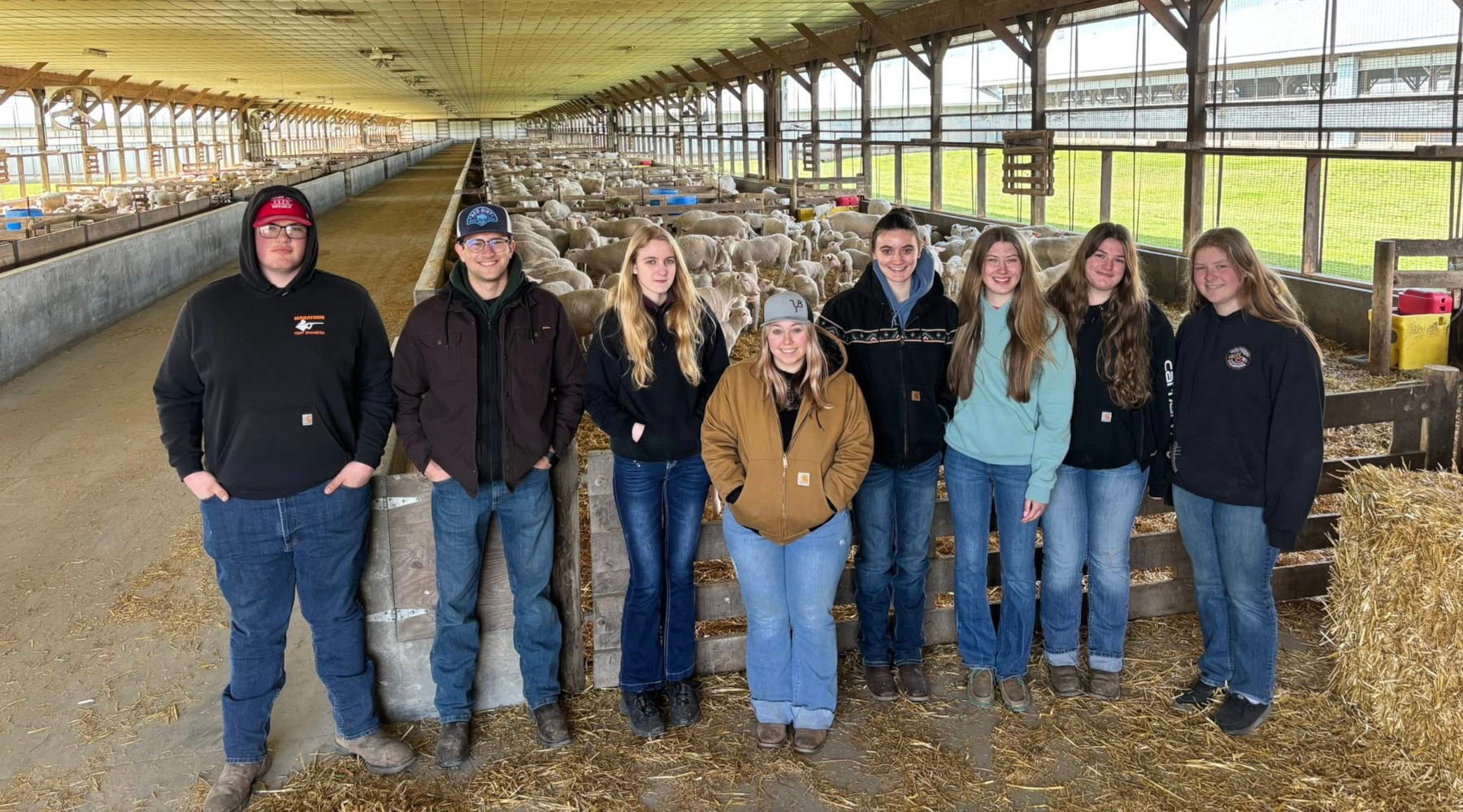 4-H Livestock Ambassador
