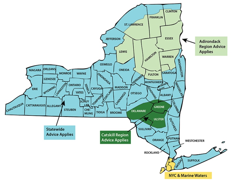 A map shows fish advisory regions in New York.