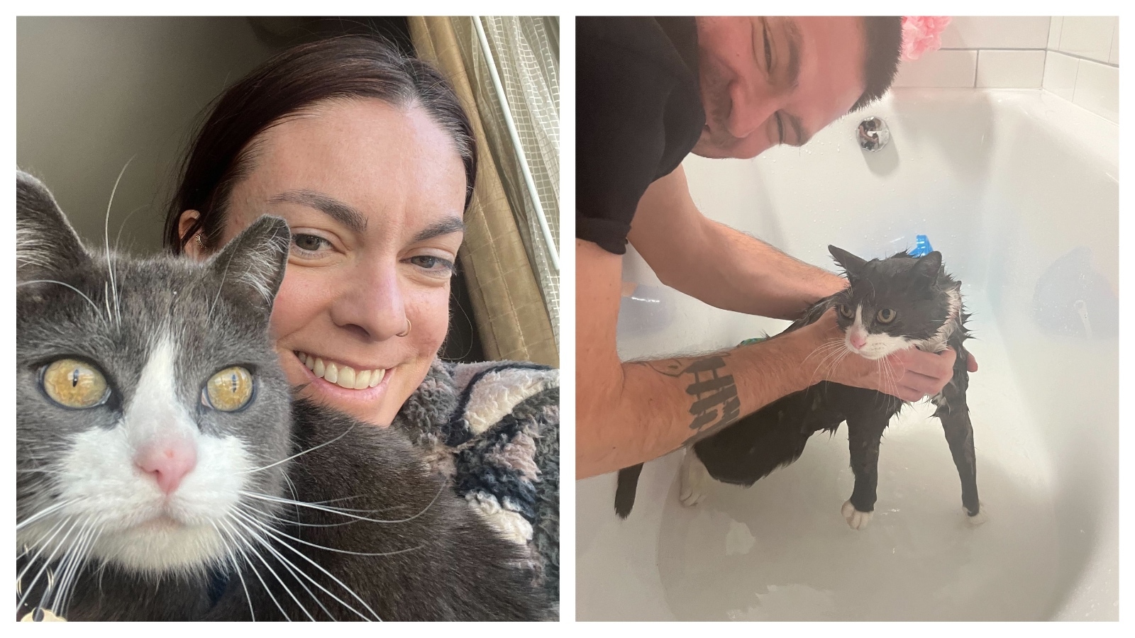 Cowboy State Daily logo