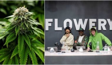 A brief history of marijuana in Brooklyn • Brooklyn Paper