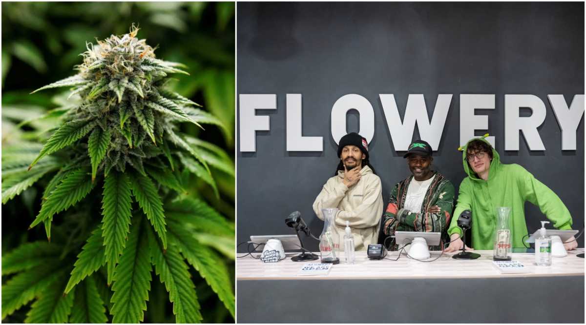 A brief history of marijuana in Brooklyn • Brooklyn Paper