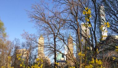 New York is getting warmer. How that affects allergy season.