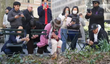 New Yorkers flock to Manhattan park for lovable woodcocks' bobbing strut