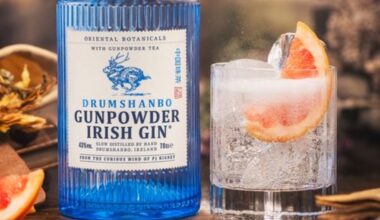 Natonal Gin & Tonic Day 4/9-NYC Bartenders Talk Brands and Cocktails