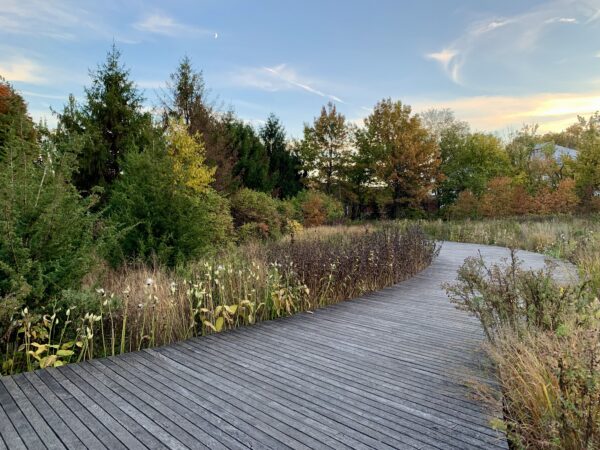 Meet at the Naval Cemetery Landscape on Saturday for an Earth Day cleanup. Photo: Mary Frost/Brooklyn Eagle