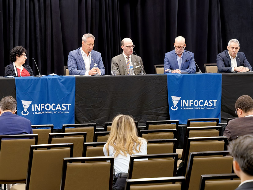 Nuclear, Natural Gas Seen as Key Part of N.Y. Grid Future