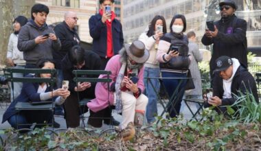 New Yorkers flock to Manhattan park for lovable woodcocks’ bobbing strut