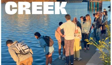 Seeing The Creek - Queens Gazette