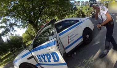 Officer who ran over man in Queens park won’t be charged in his death — Queens Daily Eagle