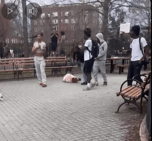 Norwood: Young Girl Stomped in the Face Seemingly in Oval Park by Teens where Angel Mendoza was Killed