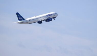 Passenger gives birth aboard flight from Jamaica to New York