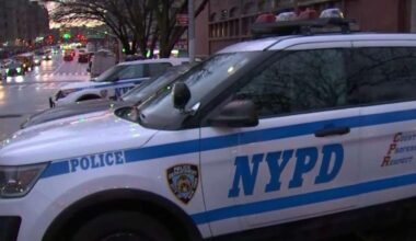 Jakhi McCray pleads guilty to Brooklyn NYPD vehicle arson – NBC New York