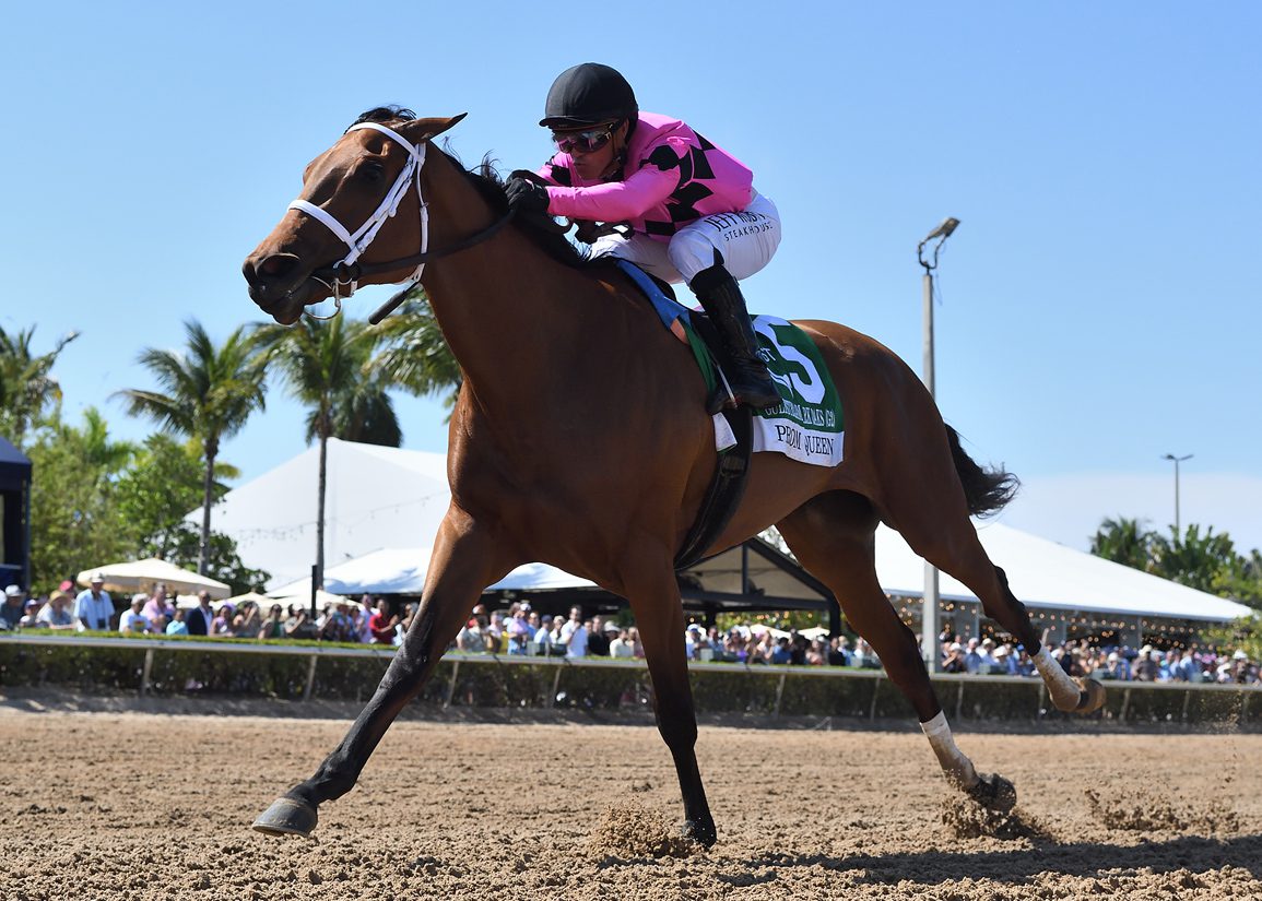 'Rising Star' Prom Queen Puts In Drill For Oaks At Churchill Downs