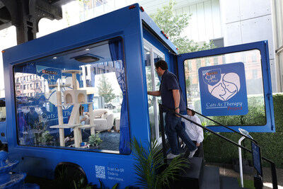 Therapy Cats Pop-Up Near NYU – New York Family