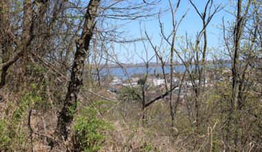 Staten Island environmental groups make a push to save this natural preserve