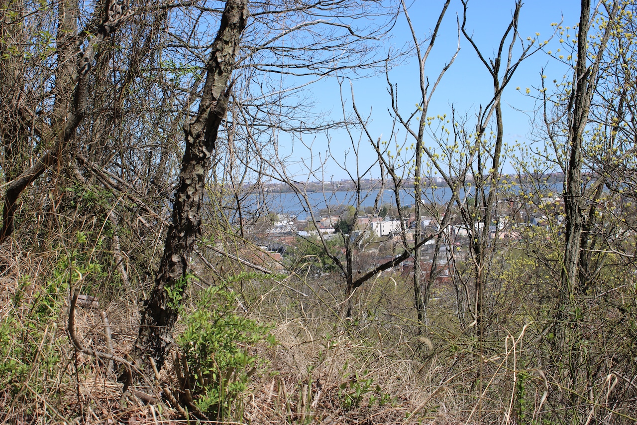 Staten Island environmental groups make a push to save this natural preserve