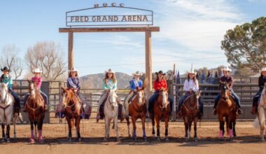 Nine contestants to compete in Ramona Rodeo Queen pageant – San Diego Union-Tribune