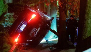 Trinitarios gang leader admits to murderous carjacking spree in Queens