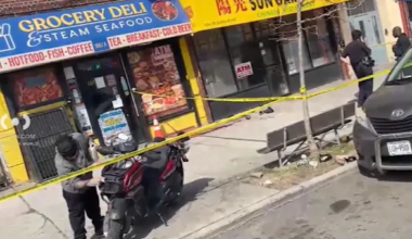 News 12 | Brooklyn | Man critically injured in Crown Heights stabbing; person of interest in custody