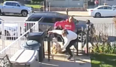 Brooklyn grandma viciously beaten after asking women to pick up their dogs' poop