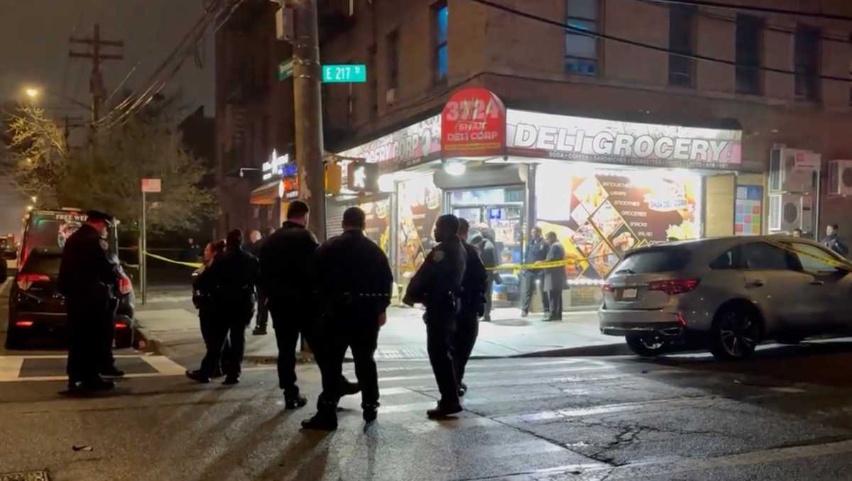 Two Bronx shootings in one hour leave pair of men dead as borough continues to be rocked by gun violence in 2026