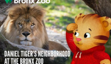 Immersive Daniel Tiger’s Neighborhood Exhibit at the Bronx Zoo