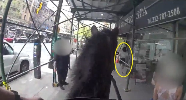 NYPD body cam footage shows a mounted police officer and his horse, Kelly, chase down accused purse snatcher Felicia Field (circled) at W. 72nd St. and Columbus Ave. in Manhattan on Wednesday, April 15, 2026. (NYPD)