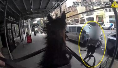 NYPD cop on horseback chases down killer parolee after Manhattan purse snatch