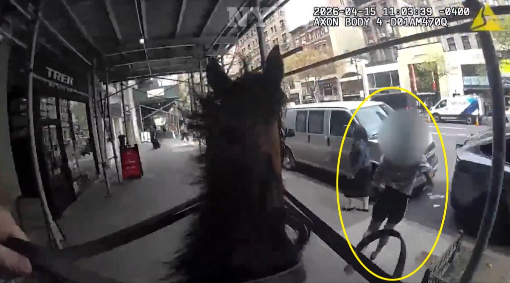 NYPD cop on horseback chases down killer parolee after Manhattan purse snatch