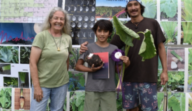East Maui Taro Festival crowns winners of 16th Queen’s Challenge : Maui Now