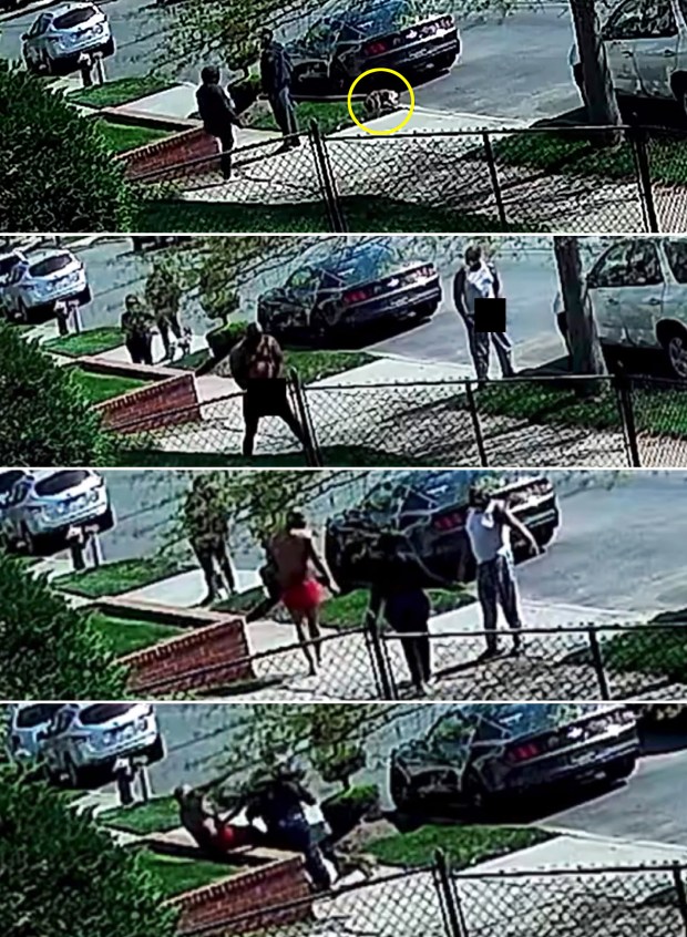 After a dog peed on a neighbor's lawn (top, circled), two men responded by urinating on the dog owner's lawn (2nd from top). That led to a bloody brawl that left three people stabbed on Thursday, April 23, 2026, in Queens, New York. (Obtained by Daily News)